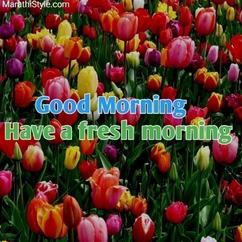 Good Morning Images HD