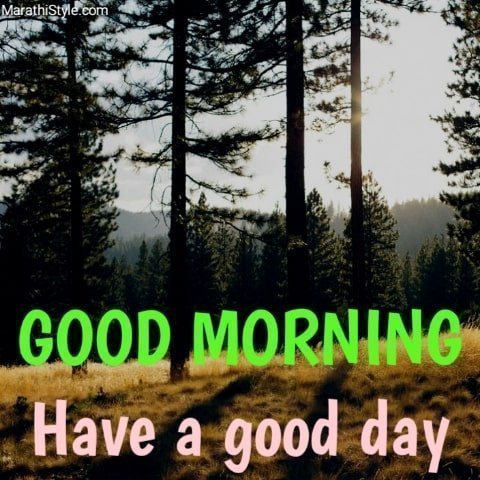 Good Morning Images HD