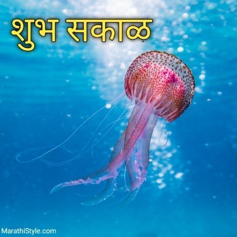 shubh sakal images