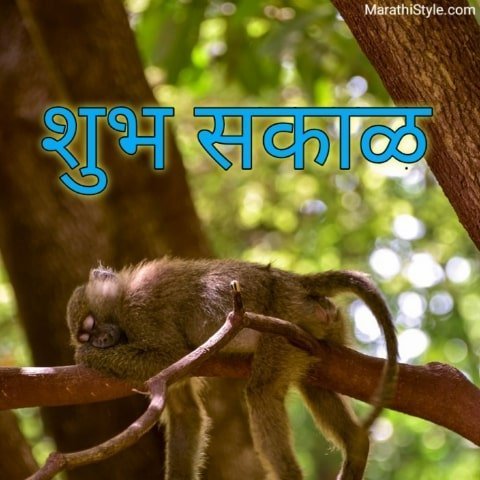 shubh sakal photo