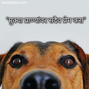 Prem Quotes in Marathi