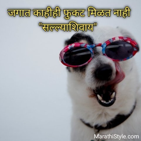 Marathi Funny Quotes