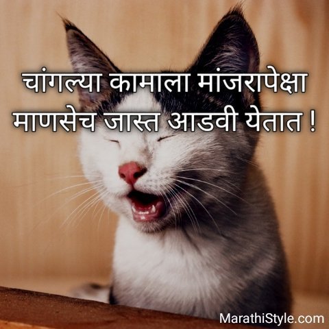 Marathi Funny Sms For Whatsapp